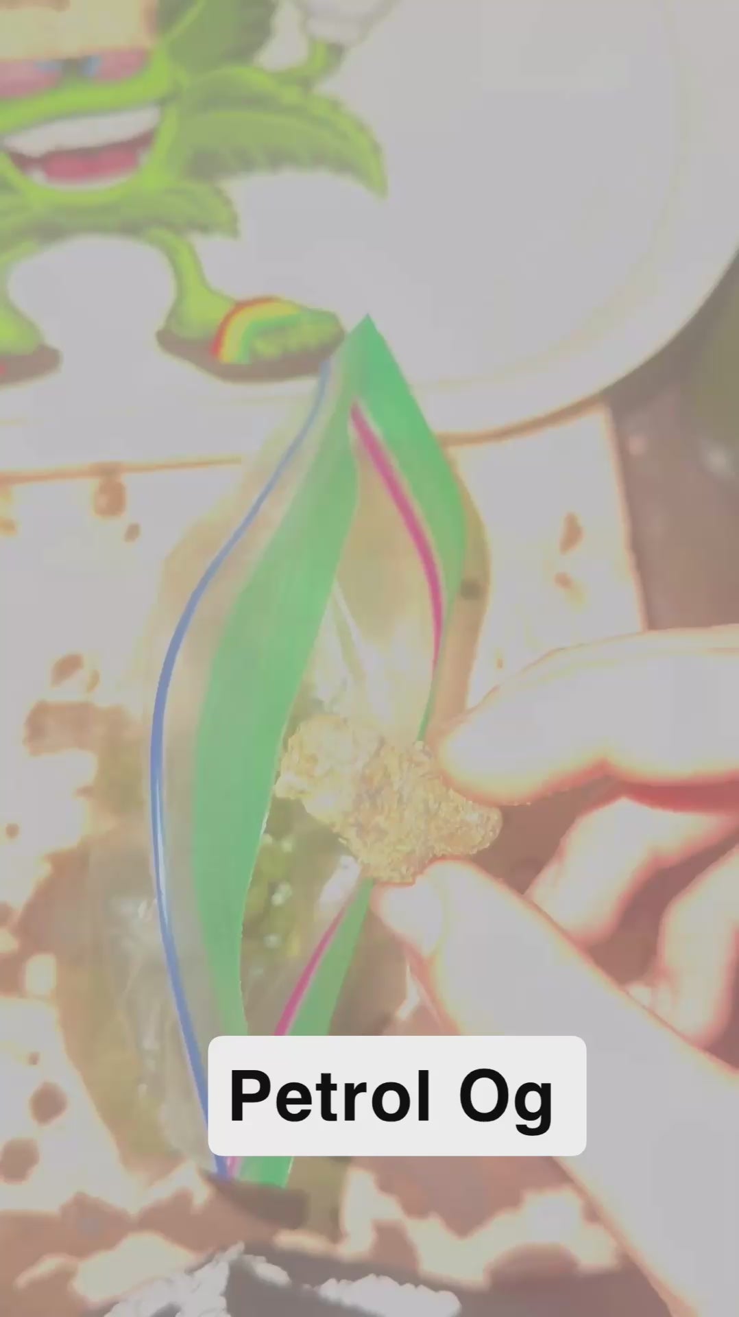 Petrol Og O’z